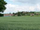 View to Rozhovice from west