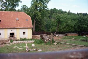 Present view of the locality of the former Pelestrov farm - 2